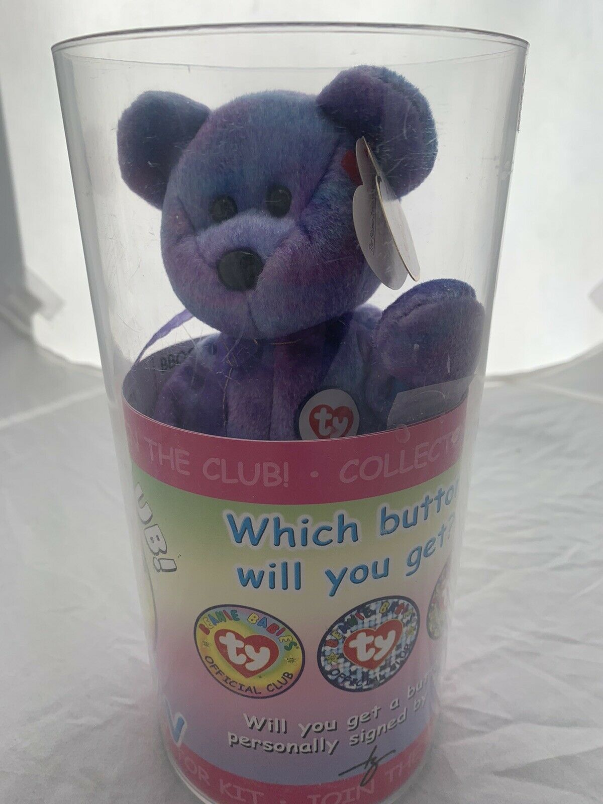 Chubby Iv Ty Beanie Baby New In Container W/club Paperwork